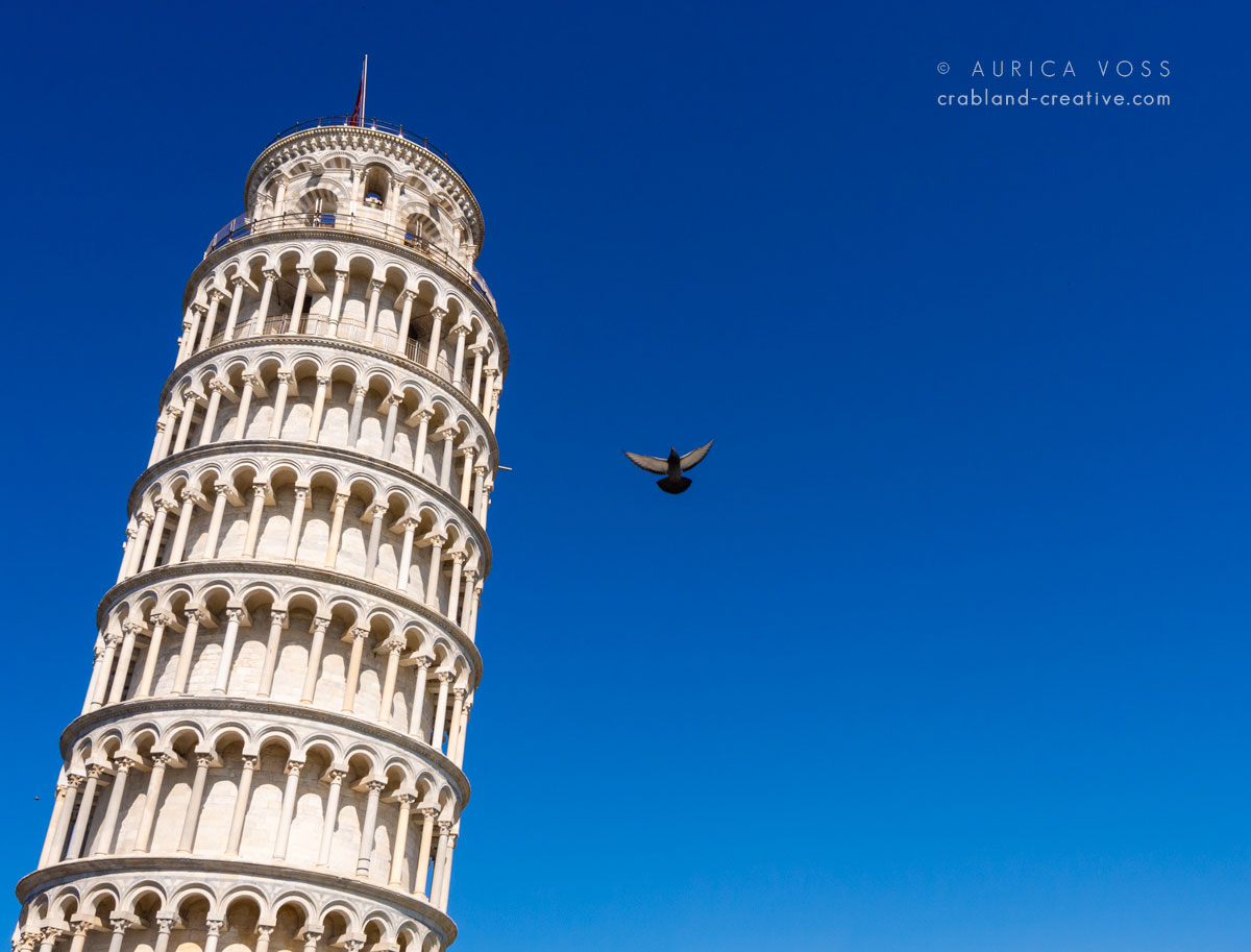 Eine Taube fliegt am Schiefen Turm von Pisa vorbei