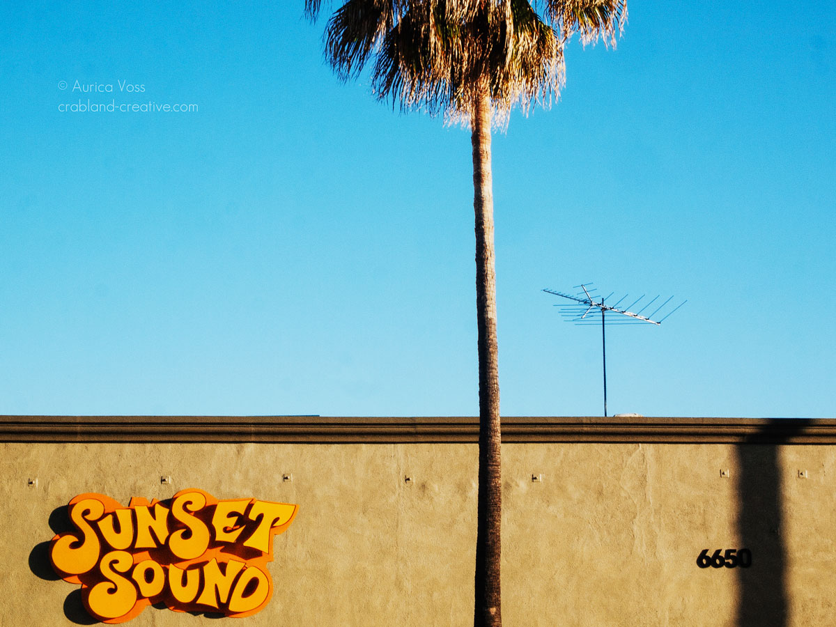 Palme vor dem Sunset Sound Studio in Hollywood, Kalifornien, USA