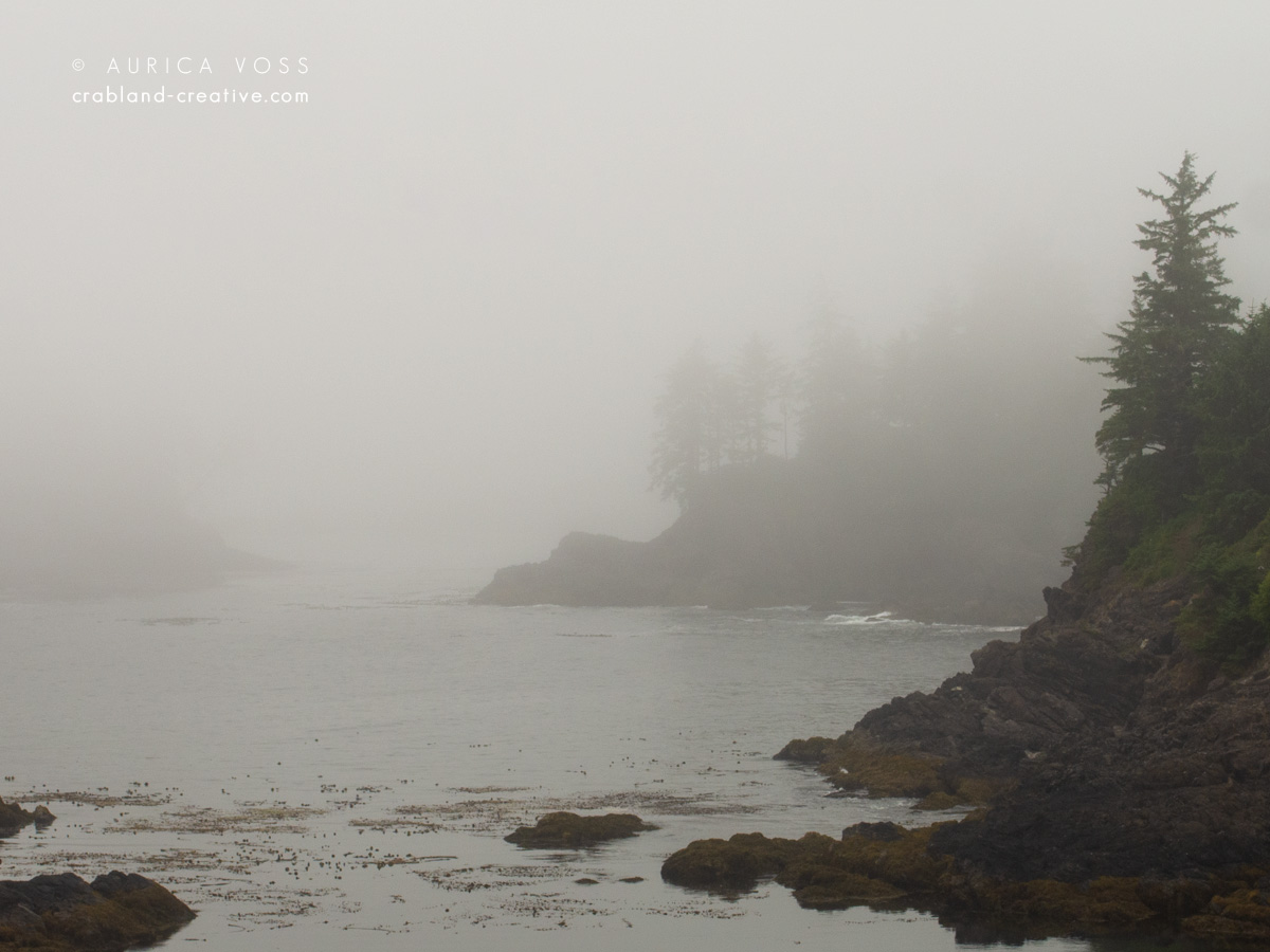 Raue Felsenbucht im Nebel an der Küste von Vancouver Island