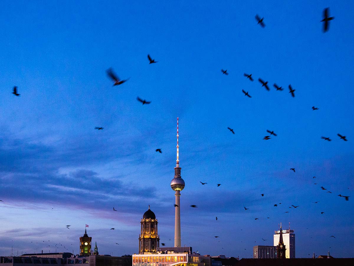 Kalenderblatt Januar Berliner Fernsehturm-Skyline