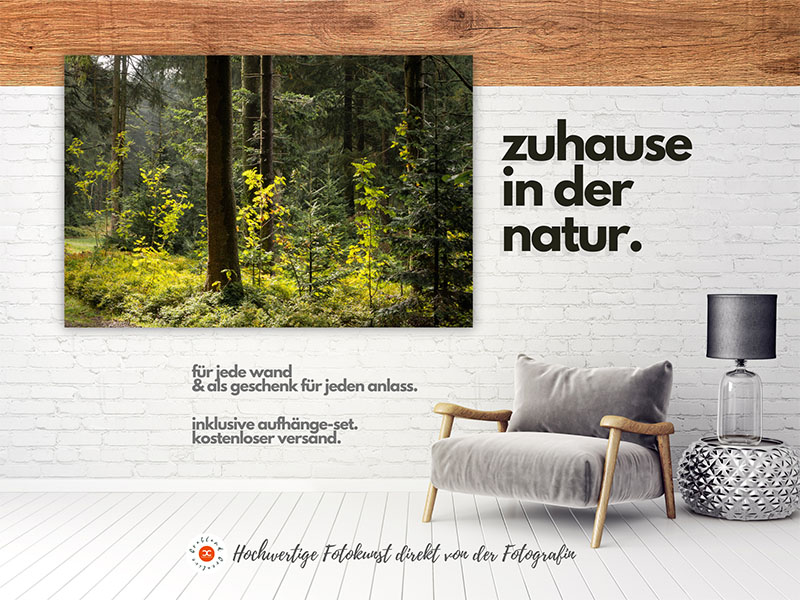 Bayerischer Wald Wandbild