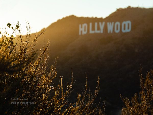 Das Hollywood-Sign im Griffith Park in der Abendsonne