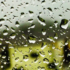 Regentropfen an der Autoscheibe als Makroaufnahme
