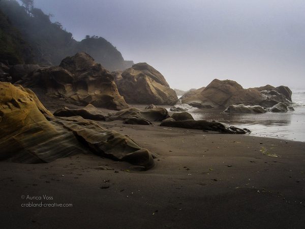 Raue Felsenlandschaft an der Küste von Washington