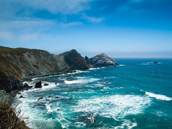 Pazifische Küstenlandschaft in Kalifornien am sonnigen Tag