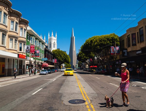 Frau mit Hund überquert Strasse in San Francisco mit Blick auf die Transamerica Pyramid