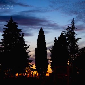 Silhouetten von Zypressen im Sonnenuntergang in der Toskana