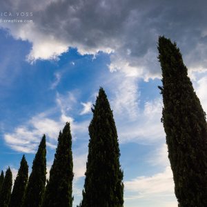 Zypressenreihe vor blauem, bewölkten Himmel in der Toskana