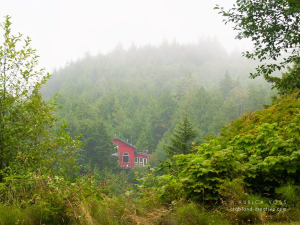 Rotes Holzhaus im nebligen Wald Kanadas