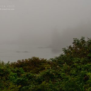 Bucht im Nebel an der Küste von Vancouver Island