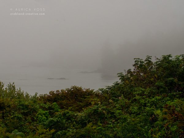 Bucht im Nebel an der Küste von Vancouver Island