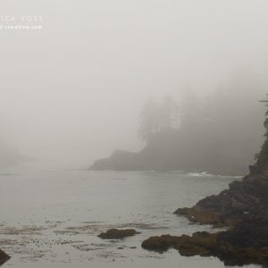 Raue Felsenbucht im Nebel an der Küste von Vancouver Island