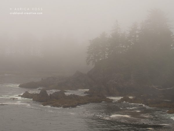 Klippen und Wald an der nebligen Küste von Vancouver Island