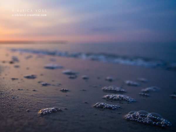 Wandbilder Meer - Prerow (Darß) - Strand im Sonnenuntergang
