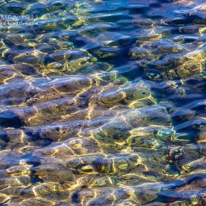 Mittelmeer - Glitzernde Wasseroberfläche