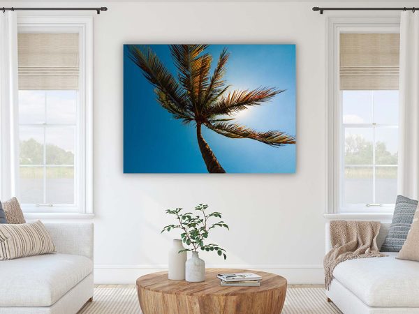 Wandbild Karibik - Fotokunst kaufen - Fine Art Fotografie Natur Landschaft Palme