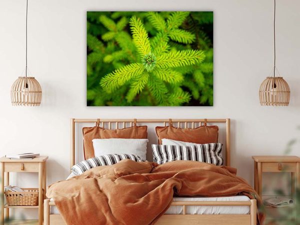 Wandbild Baum - Fotokunst kaufen - Fine Art Fotografie Natur Landschaft Wald