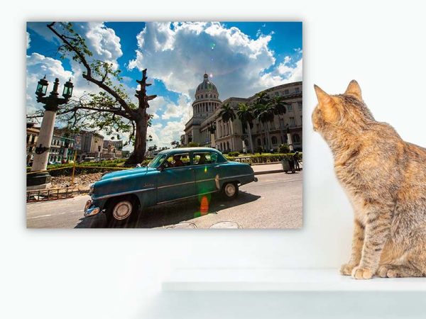 Wandbild Oldtimer - Fotokunst kaufen - Fine Art Fotografie Kuba Karibik