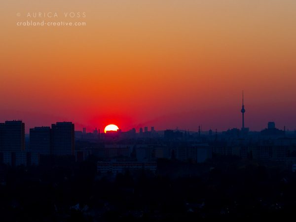 Berliner Skyline - Blick aus Hellersdorf im Sonnenuntergang