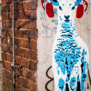 Fotokunst kaufen - Graffiti Streetart in Berlin-Kreuzberg